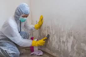 Best Asbestos and Lead Testing During Mold Inspection  in Broxton, GA